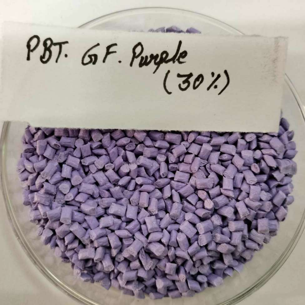 PBT Purple